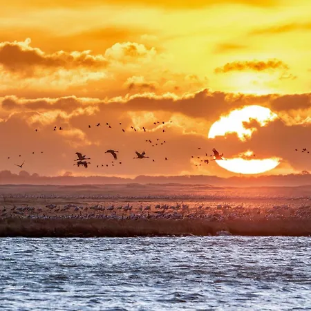 Storchenrast - Mit Kamin & Terrasse Am Fleesensee * Göhren-Lebbin